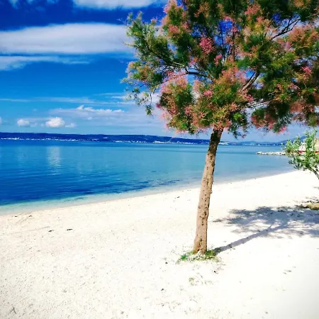 Lavender Kastela